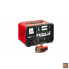 CARICABATTERIE ALPINE 15  230V 12-24V